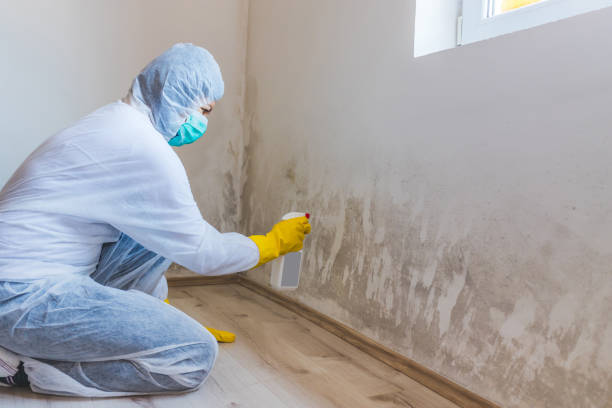 Crawl Space Mold Remediation treatment of floor joists in Englewood