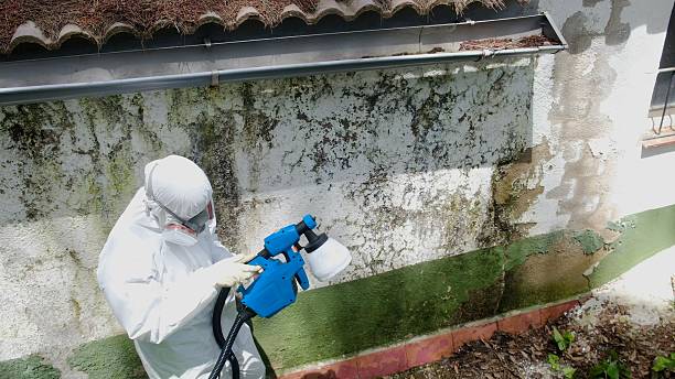 Mold Remediation service in Englewood, Englewood, TN